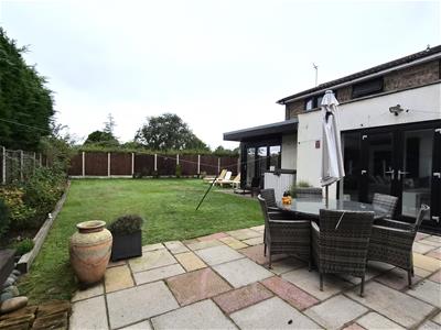 Picture 20